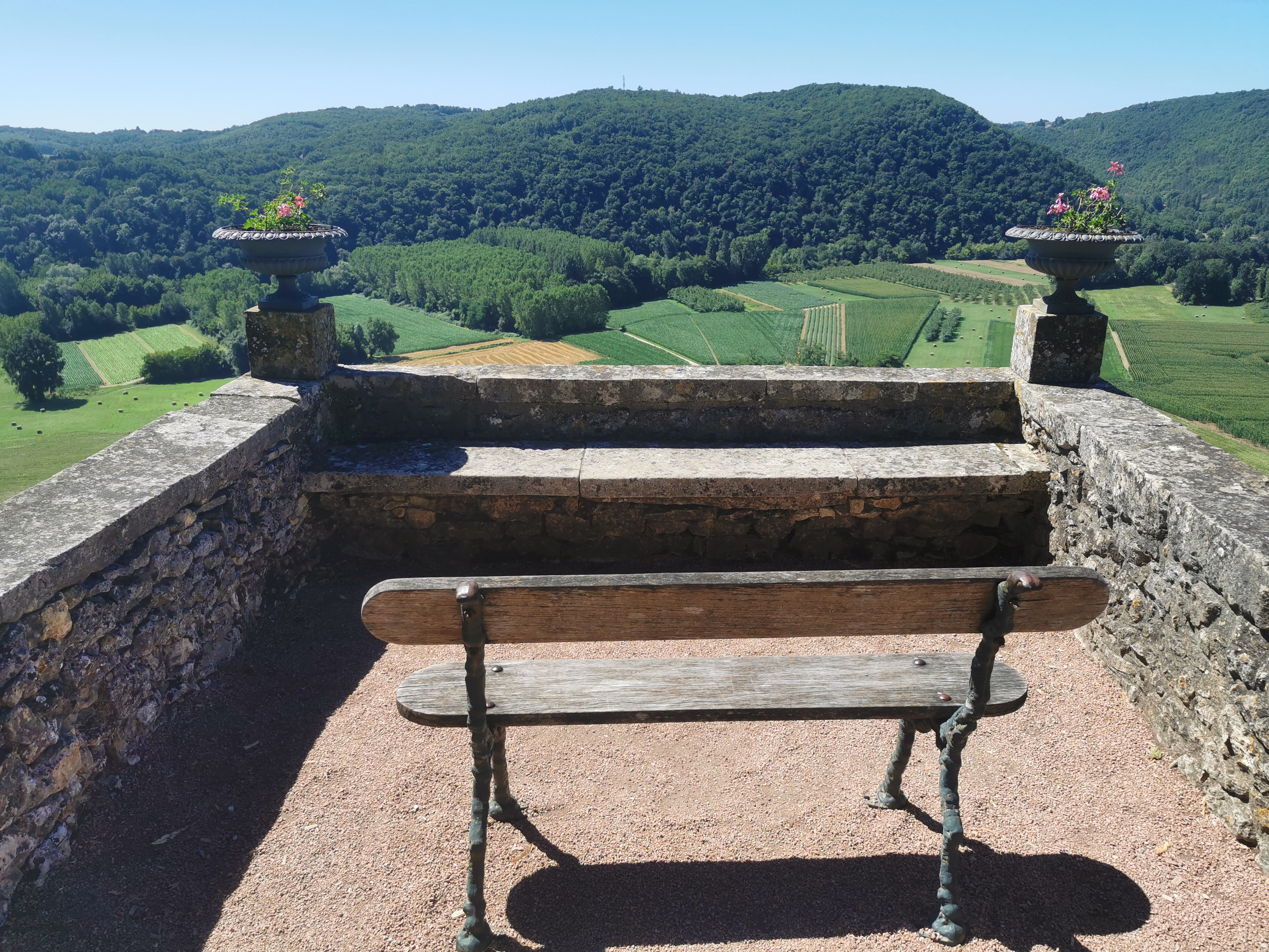 Bench 1 in park