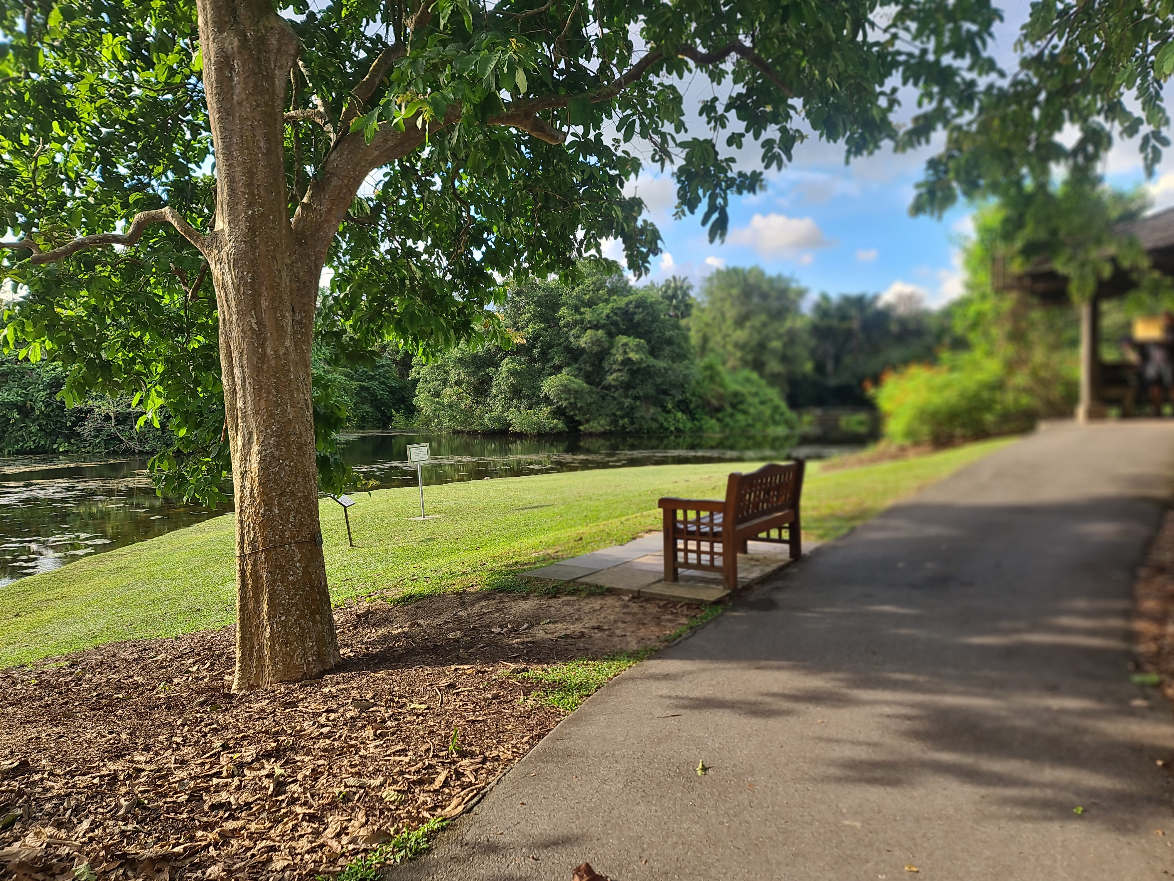 Bench 2 by river