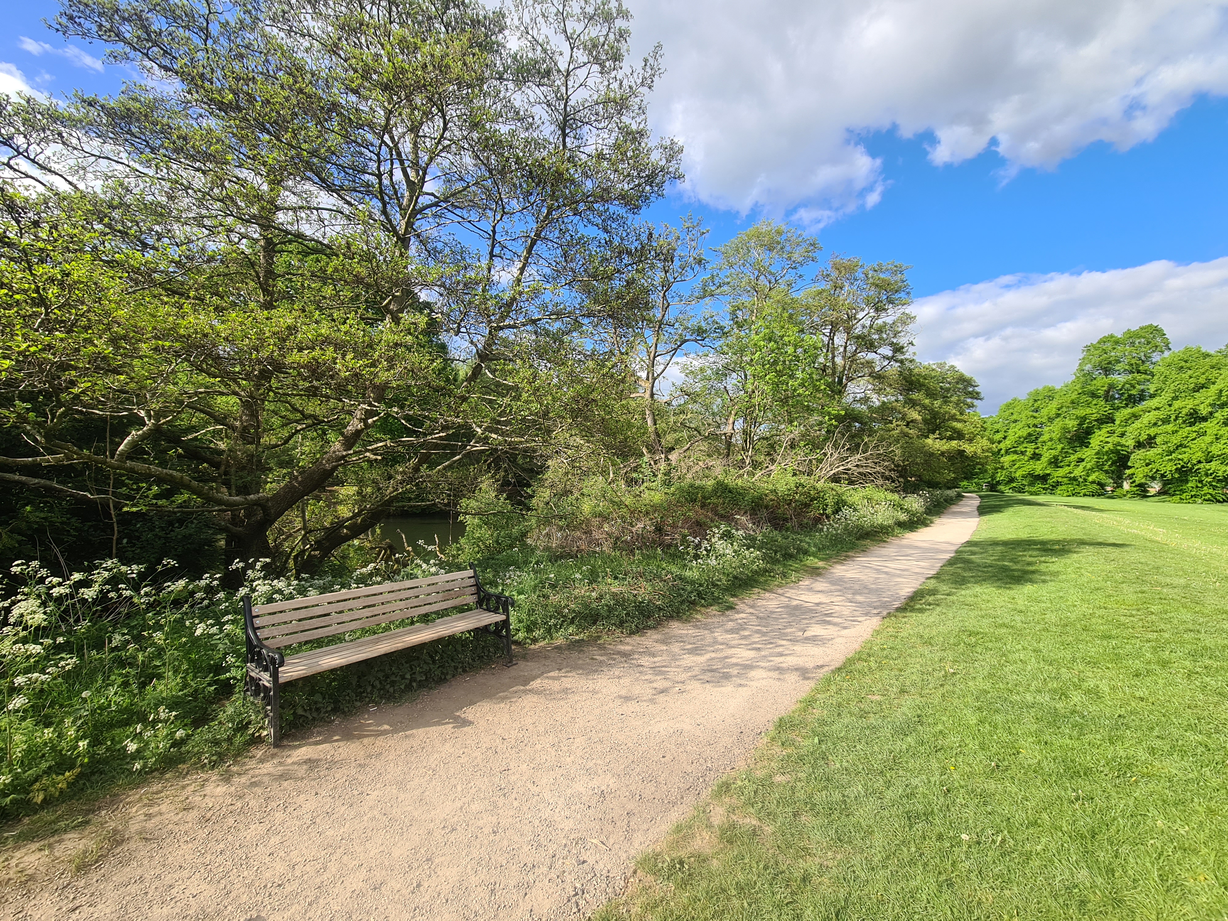 Bench 2 by river
